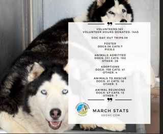 DAS Mar 2025 Stats