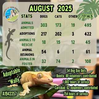 DAS August 2025 Stats