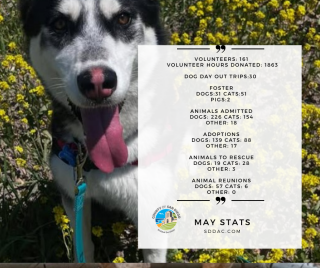 DAS May 2025 Stats
