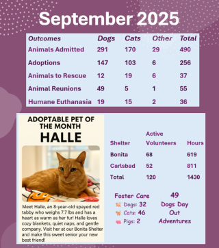DAS September 2025 Stats