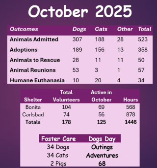 October 2025 Stats