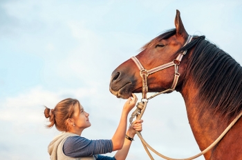 Livestock Considerations Livestock Considerations