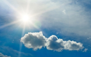 Heat And Your Pets