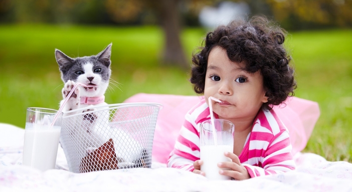 Child and Kitten Cat and little girl drinking milk out of two cups with straws