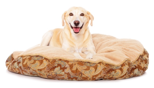 Donate Comfort Items Donate Comfort Items