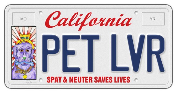 License Plate Pet Tag