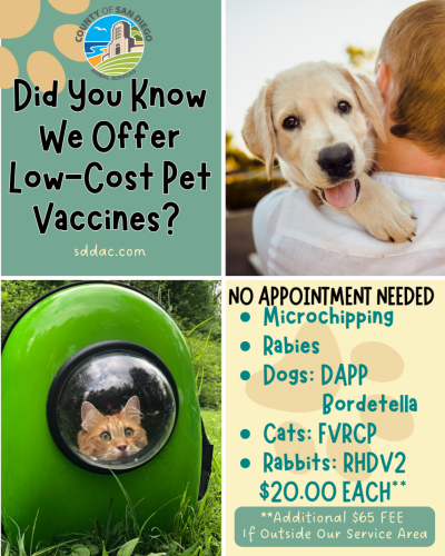 Low Cost Pet Vaccines Low Cost Pet Vaccines