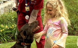 Child petting dog