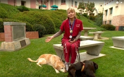 Nurse with dogs