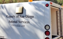 Photo of animal services truck